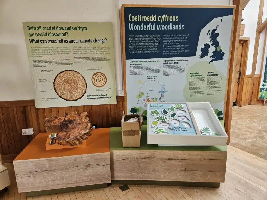'Wonderful woodlands' bilingual interpretation display