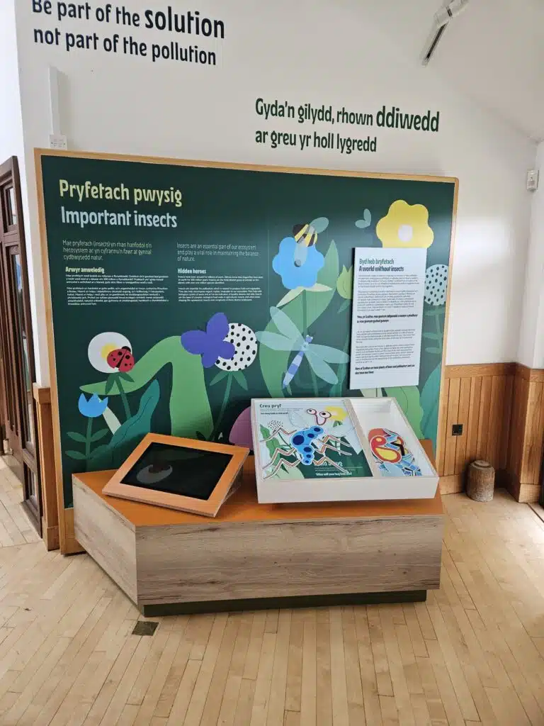 Illustrated 'Why insects are important' display at Headland museum